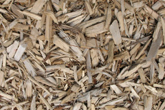biomass boilers Otterbourne